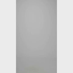 Ruby Metallic Leather Blazer In Maroon