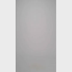 Alia Leather Biker Jacket Metallic Black