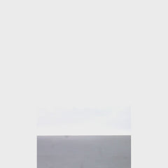 Alexis Leather Coat Brown Single Breasted