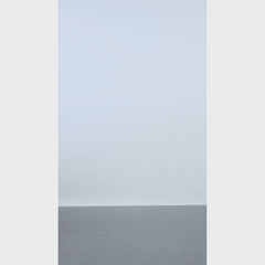 Bomia Ma-1 Distressed Black Leather Bomber