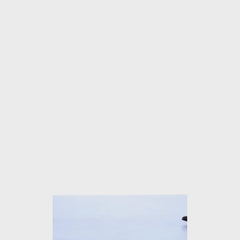 Norma Nubuck Blazer In Brown